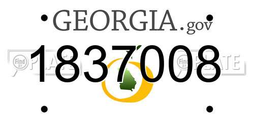 1837008 Georgia License Plate