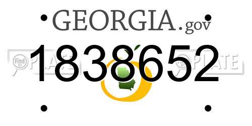 1838652 Georgia License Plate