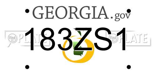 183ZS1 Georgia License Plate