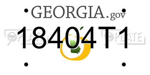18404T1 Georgia License Plate
