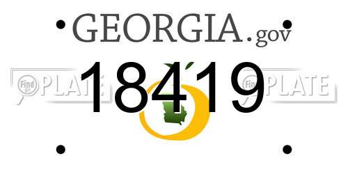 18419 Georgia License Plate