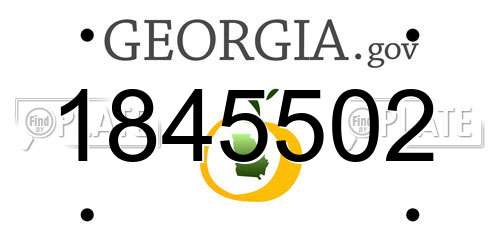 1845502 Georgia License Plate
