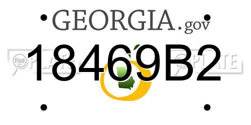 18469B2 Georgia License Plate