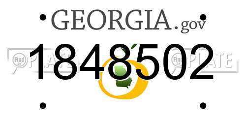 1848502 Georgia License Plate