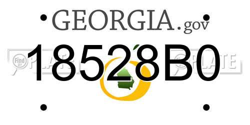 18528B0 Georgia License Plate