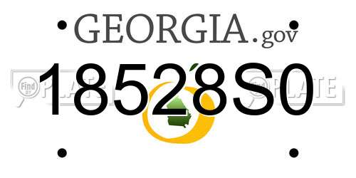 18528S0 Georgia License Plate