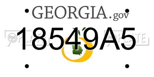 18549A5 Georgia License Plate