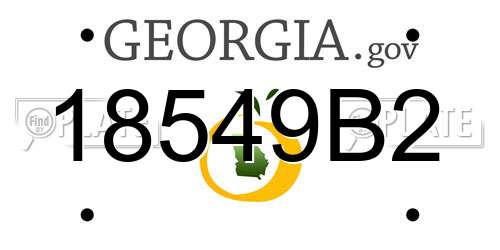 18549B2 Georgia License Plate