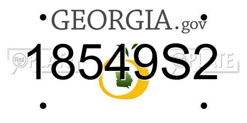 18549S2 Georgia License Plate