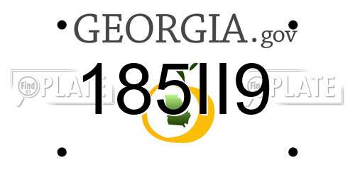 185II9 Georgia License Plate