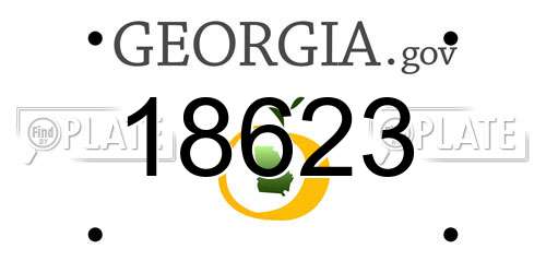 18623 Georgia License Plate