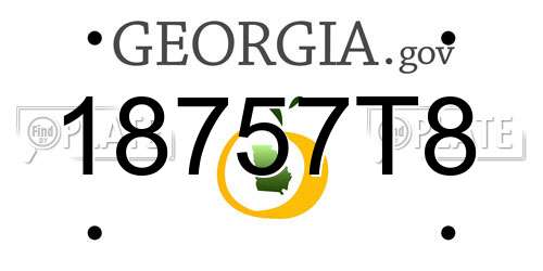 18757T8 Georgia License Plate