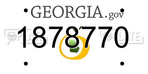 1878770 Georgia License Plate