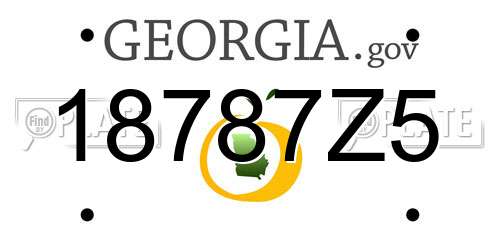 18787Z5 Georgia License Plate