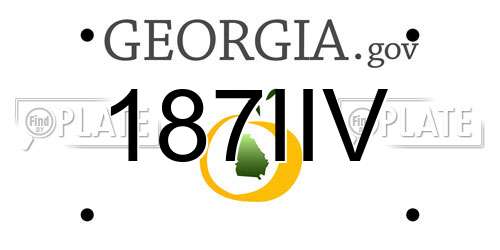 187IIV Georgia License Plate
