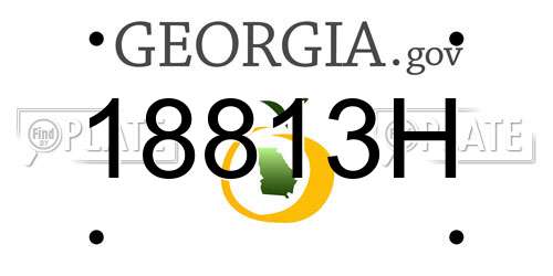 18813H Georgia License Plate