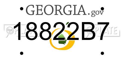 18822B7 Georgia License Plate