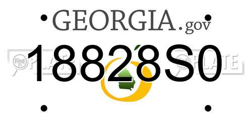 18828S0 Georgia License Plate