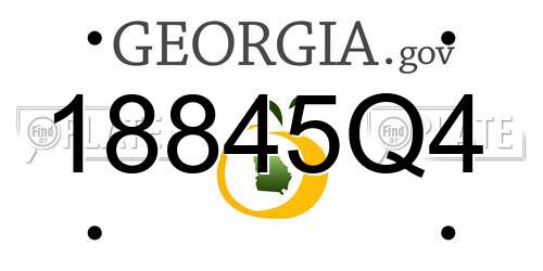 18845Q4 Georgia License Plate