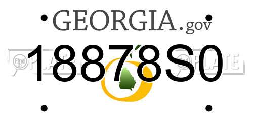 18878S0 Georgia License Plate