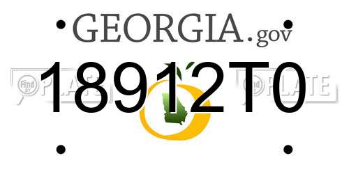 18912T0 Georgia License Plate