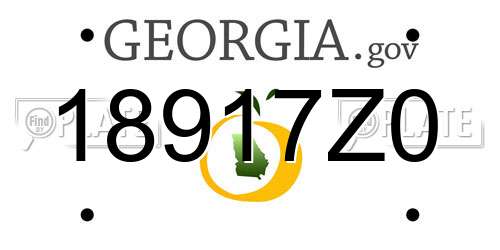 18917Z0 Georgia License Plate