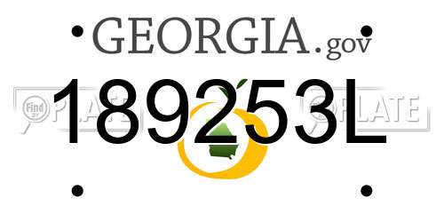 189253L Georgia License Plate