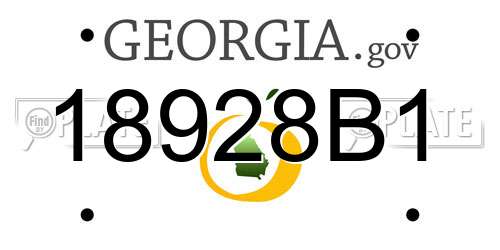 18928B1 Georgia License Plate