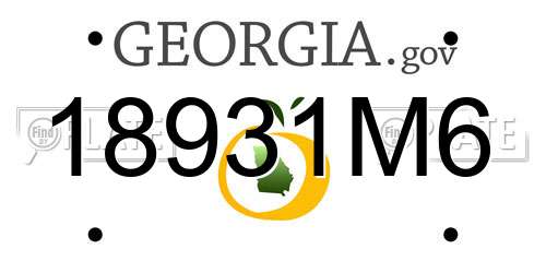 18931M6 Georgia License Plate