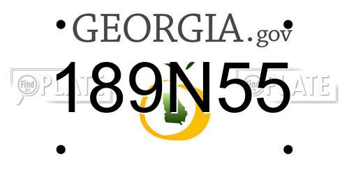 189N55 Georgia License Plate