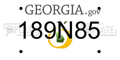 189N85 Georgia License Plate