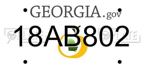 18AB802 Georgia License Plate