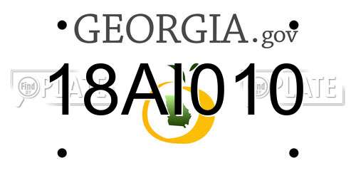 18AI010 Georgia License Plate