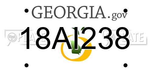 18AI238 Georgia License Plate