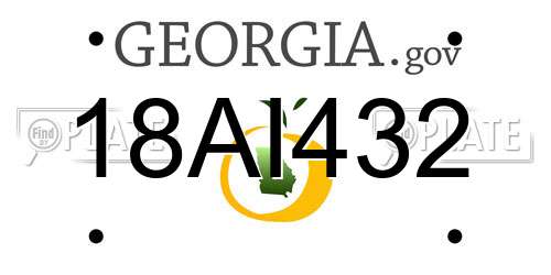 18AI432 Georgia License Plate