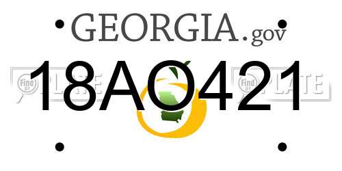 18AO421 Georgia License Plate