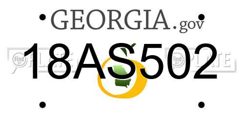 18AS502 Georgia License Plate