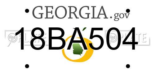 18BA504 Georgia License Plate