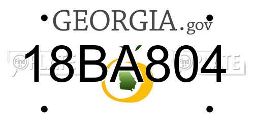18BA804 Georgia License Plate