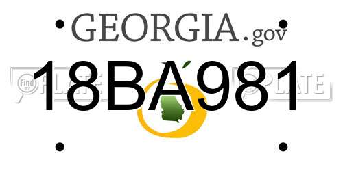 18BA981 Georgia License Plate