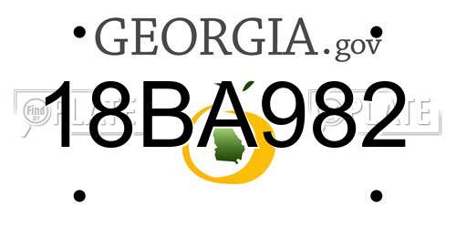 18BA982 Georgia License Plate