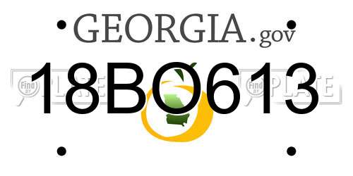 18BO613 Georgia License Plate