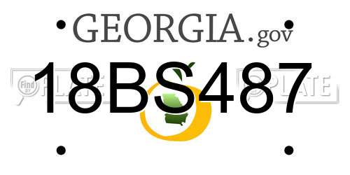 18BS487 Georgia License Plate