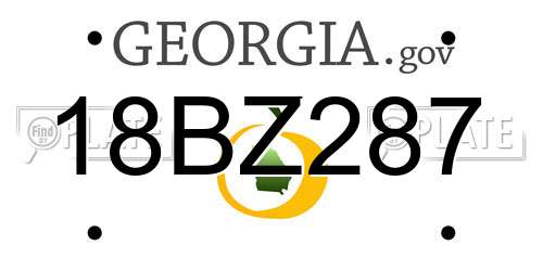 18BZ287 Georgia License Plate