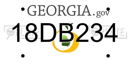 18DB234 Georgia License Plate