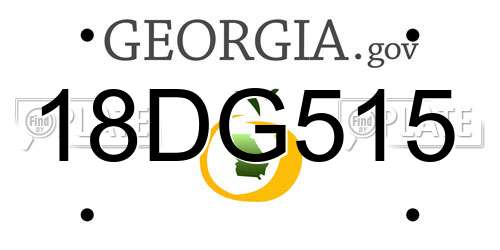 18DG515 Georgia License Plate
