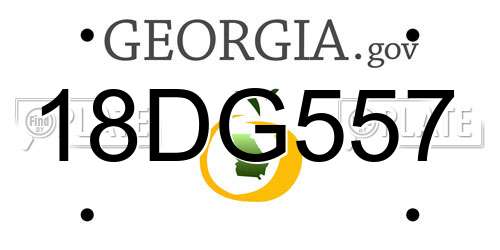 18DG557 Georgia License Plate