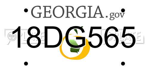 18DG565 Georgia License Plate