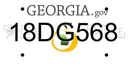 18DG568 Georgia License Plate