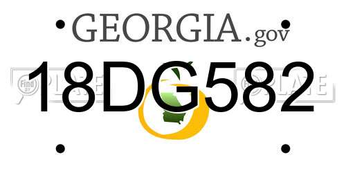 18DG582 Georgia License Plate
